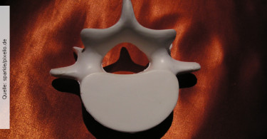 Quelle: sparkie/pixelio.de