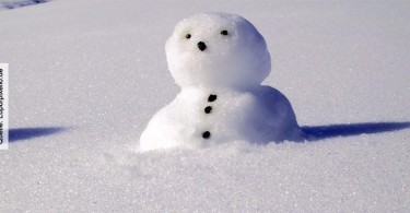 Schneemann-Lupo_pixelio.de
