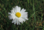 Quelle: Finy/pixabay.com