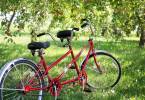 Rotes-Tandem_Jobsharing_Bewerberblog