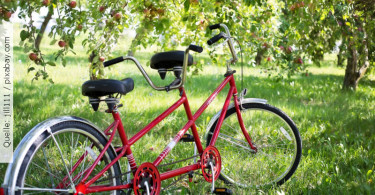 Rotes-Tandem_Jobsharing_Bewerberblog